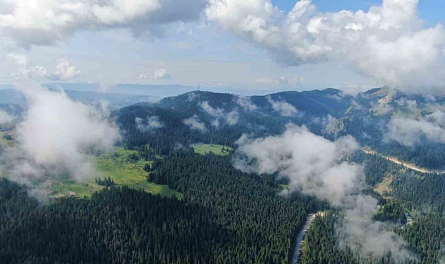 Sis bulutları ile kaplanan Ilgaz Dağı'nda mest eden görüntüler