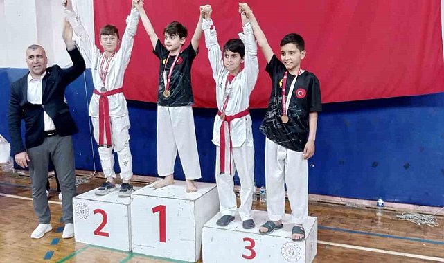 Taekwondo şampiyonasına Alaplı damgası