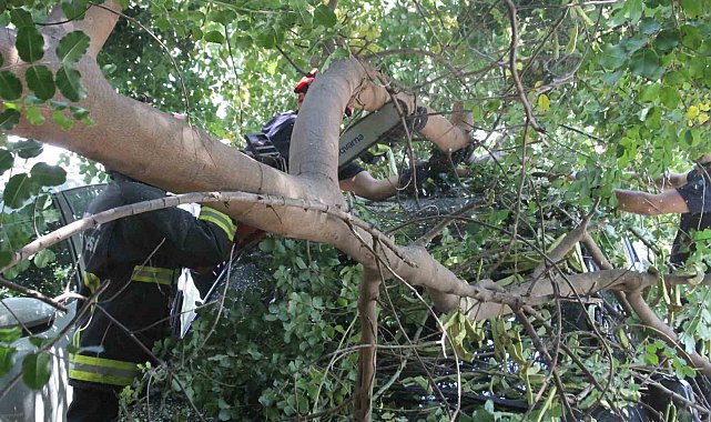 Tatilinin ilk gününde denize girmek için aracını park etti, geri döndüğünde gözlerine inanamadı
