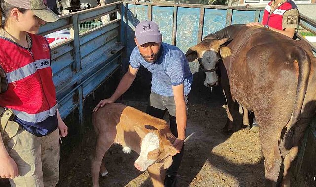Tek ineğiydi çalındı, jandarma buldu