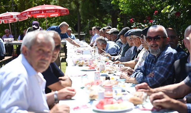 Ulu çınarları buluşturan gelenek