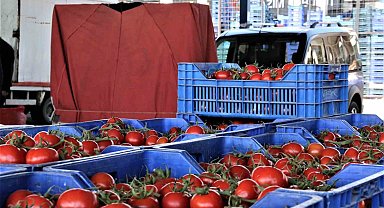 Antalya'da domates miktarı azaldı, fiyat endeksi arttı