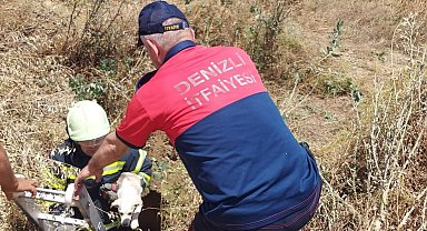 Arazideki kuyuya düşen köpek kurtarıldı