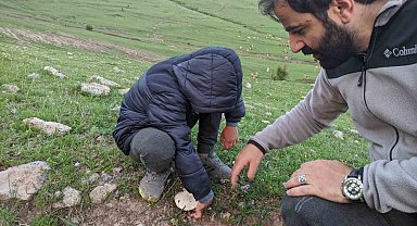 Ardahan'da yağışların ardından "mantar" bereketi