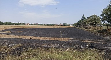 Buğday tarlasında yangın: 12 dönüme yakın alan küle döndü