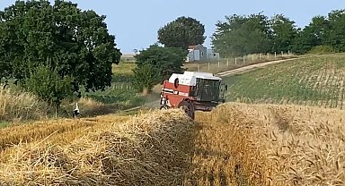Çiftçi de leylekler de rızkının peşinde
