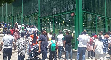Doğal yaşam parkı, bayram tatilinde yüz bin ziyaretçi ağırladı