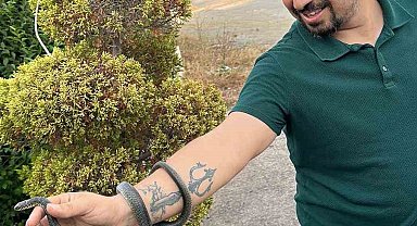 Elleriyle yakaladığı yılanı, 'insanlardan uzak dur' diyerek doğaya saldı