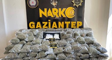 Gaziantep'te 80 kilo skunk ele geçirildi