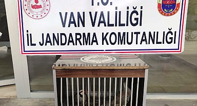 Gevaş'ta kafes avcılığı yapan 1 kişi jandarmaya takıldı