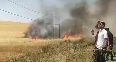 Kozluk'ta 100 dönüm buğday tarlası küle döndü