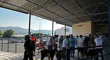 Muğla'da kurban kesim oranları arttı