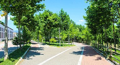 "500 Bin Metrekare Park, 500 Bin Adet Ağaç" projesi hız kazandı
