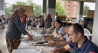 Seyhan'da 5 bin 246 adet kurbanın ücretsiz kesimi yapıldı