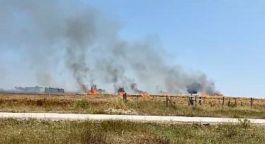 Tekirdağ'da buğday tarlası kül oldu