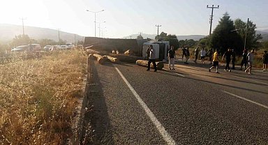 Tomruk yüklü tır devrildi, tomruklar yola saçıldı